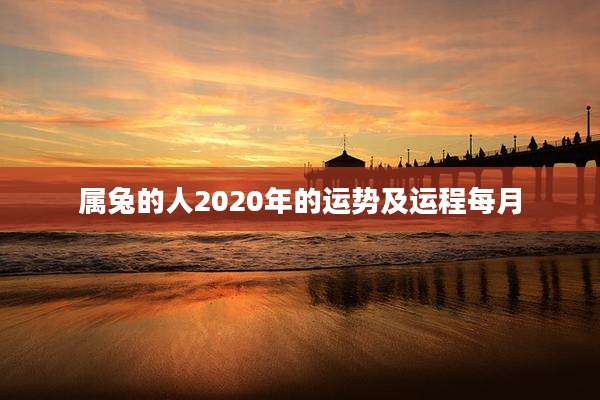 属兔的人2020年的运势及运程每月