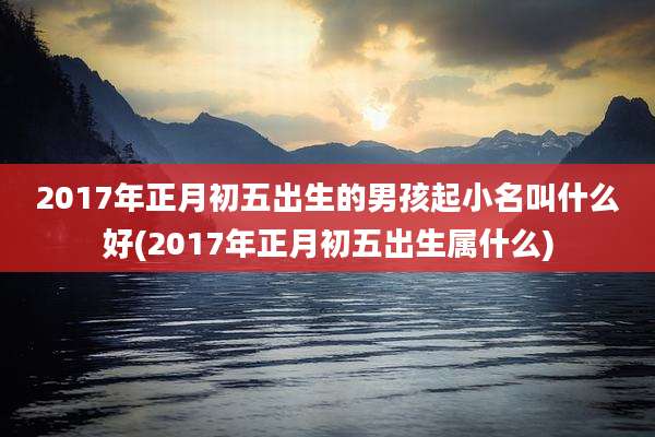 2017年正月初五出生的男孩起小名叫什么好(2017年正月初五出生属什么)