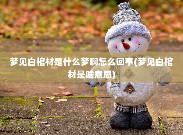 梦见白棺材是什么梦啊怎么回事(梦见白棺材是啥意思)