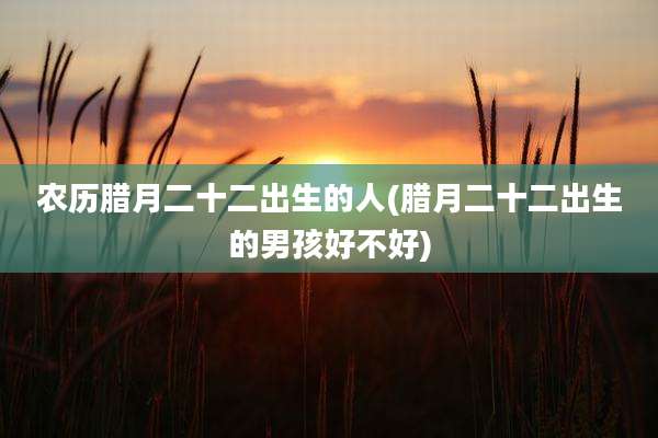 农历腊月二十二出生的人(腊月二十二出生的男孩好不好)
