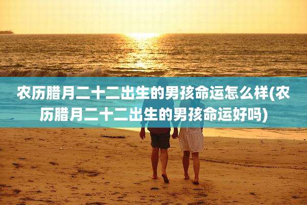 农历腊月二十二出生的男孩命运怎么样(农历腊月二十二出生的男孩命运好吗)