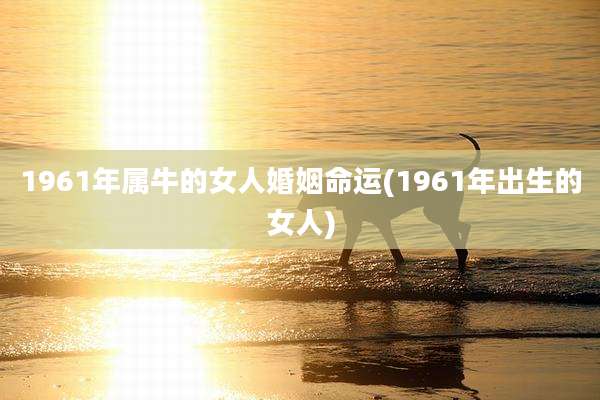 1961年属牛的女人婚姻命运(1961年出生的女人)