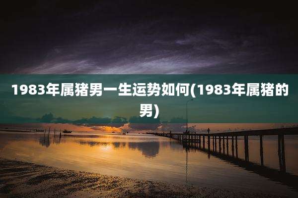 1983年属猪男一生运势如何(1983年属猪的男)