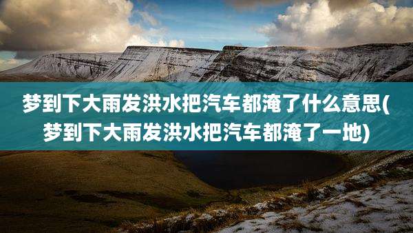 梦到下大雨发洪水把汽车都淹了什么意思(梦到下大雨发洪水把汽车都淹了一地)