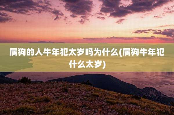 属狗的人牛年犯太岁吗为什么(属狗牛年犯什么太岁)