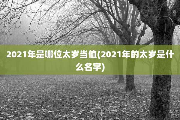 2021年是哪位太岁当值(2021年的太岁是什么名字)