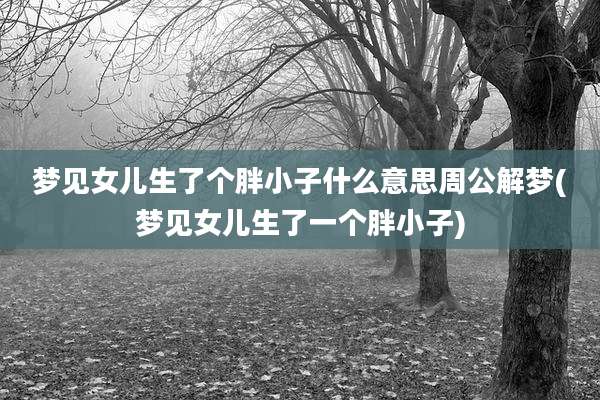 梦见女儿生了个胖小子什么意思周公解梦(梦见女儿生了一个胖小子)
