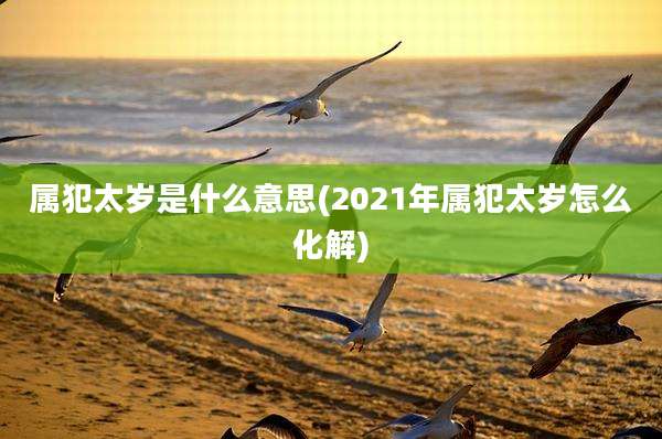 属犯太岁是什么意思(2021年属犯太岁怎么化解)