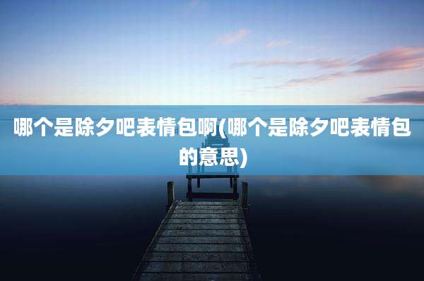 哪个是除夕吧表情包啊(哪个是除夕吧表情包的意思)