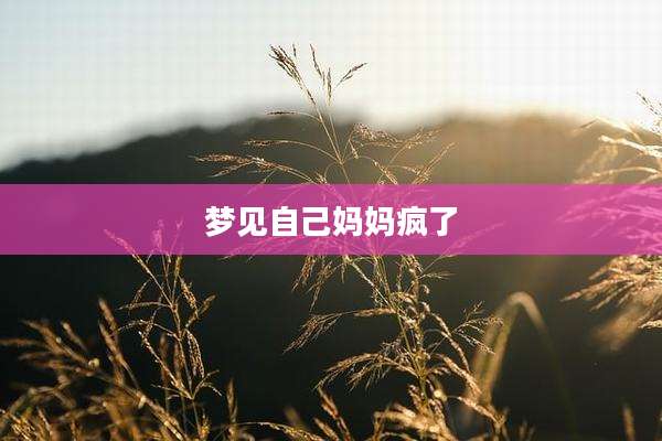 梦见自己妈妈疯了