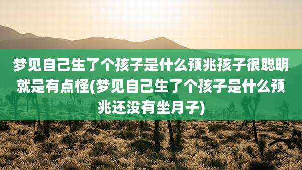 梦见自己生了个孩子是什么预兆孩子很聪明就是有点怪(梦见自己生了个孩子是什么预兆还没有坐月子)
