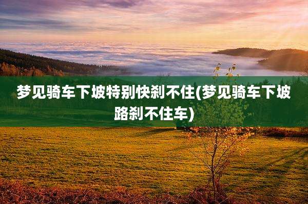 梦见骑车下坡特别快刹不住(梦见骑车下坡路刹不住车)