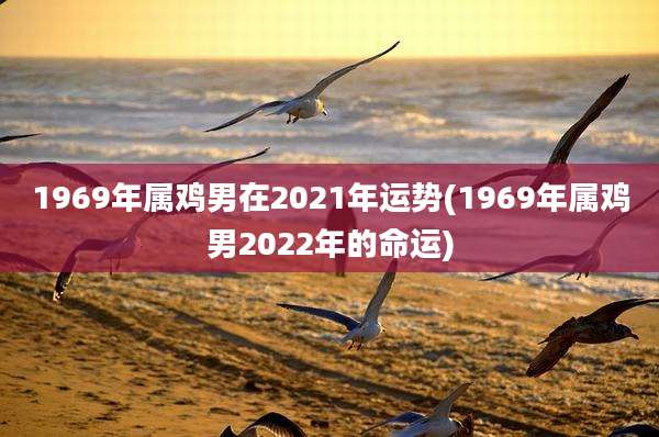 1969年属鸡男在2021年运势(1969年属鸡男2022年的命运)