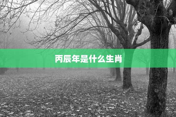 丙辰年是什么生肖