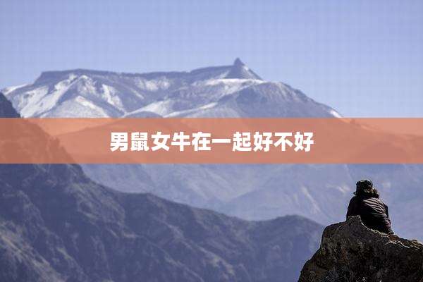 男鼠女牛在一起好不好
