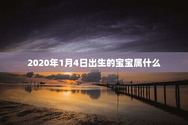 2020年1月4日出生的宝宝属什么