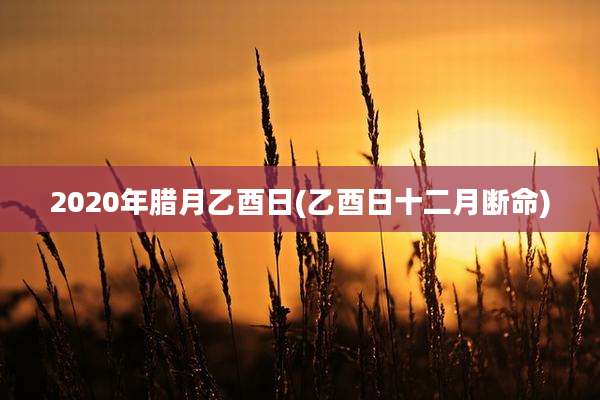 2020年腊月乙酉日(乙酉日十二月断命)