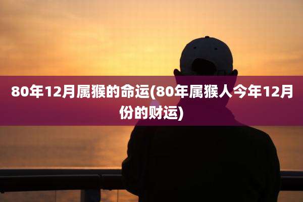 80年12月属猴的命运(80年属猴人今年12月份的财运)
