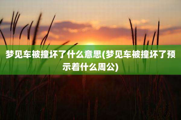 梦见车被撞坏了什么意思(梦见车被撞坏了预示着什么周公)