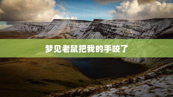 梦见老鼠把我的手咬了