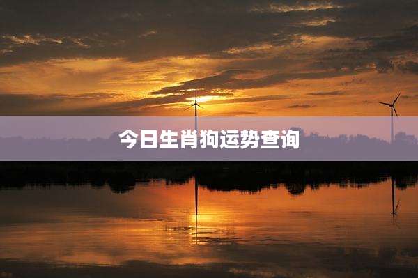 今日生肖狗运势查询