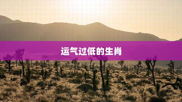 运气过低的生肖