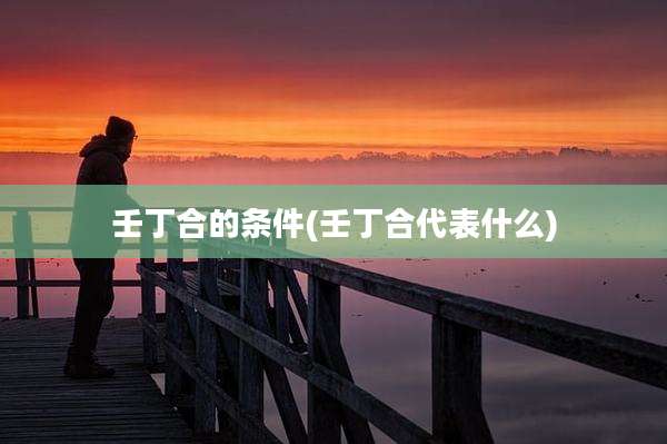 壬丁合的条件(壬丁合代表什么)