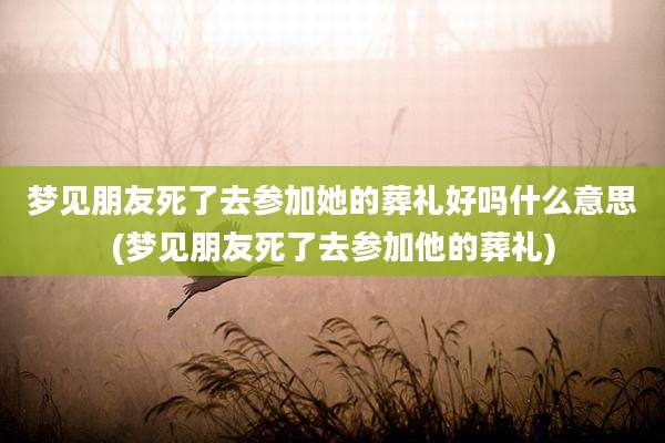 梦见朋友死了去参加她的葬礼好吗什么意思(梦见朋友死了去参加他的葬礼)