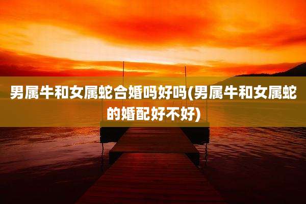 男属牛和女属蛇合婚吗好吗(男属牛和女属蛇的婚配好不好)