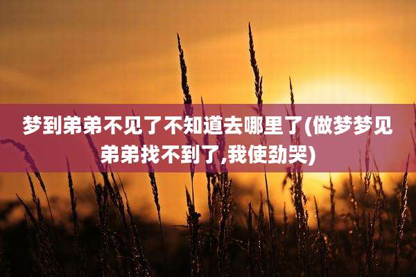 梦到弟弟不见了不知道去哪里了(做梦梦见弟弟找不到了,我使劲哭)