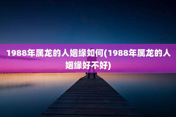 1988年属龙的人姻缘如何(1988年属龙的人姻缘好不好)
