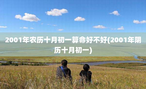 2001年农历十月初一算命好不好(2001年阴历十月初一)