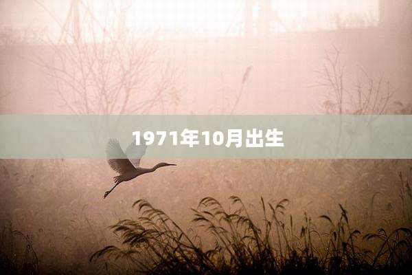1971年10月出生