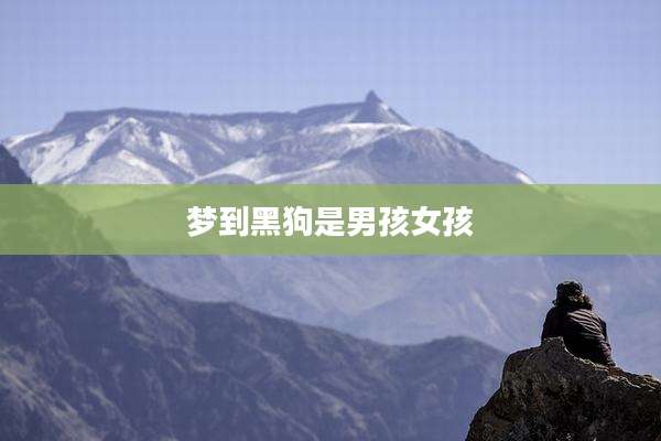 梦到黑狗是男孩女孩