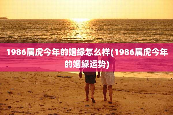 1986属虎今年的姻缘怎么样(1986属虎今年的姻缘运势)