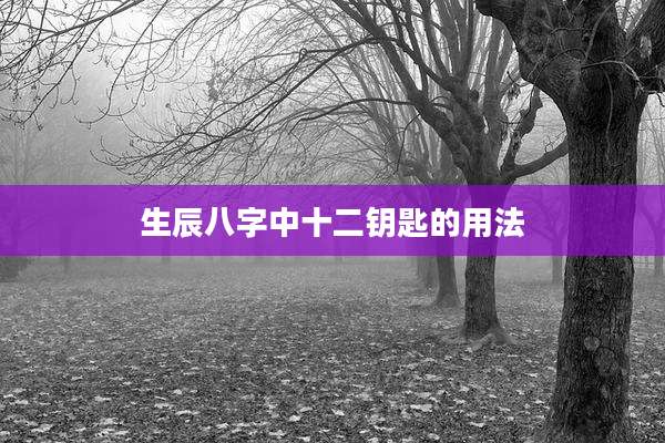 生辰八字中十二钥匙的用法