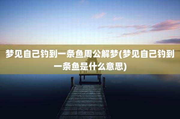 梦见自己钓到一条鱼周公解梦(梦见自己钓到一条鱼是什么意思)