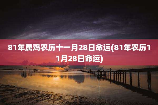 81年属鸡农历十一月28日命运(81年农历11月28日命运)
