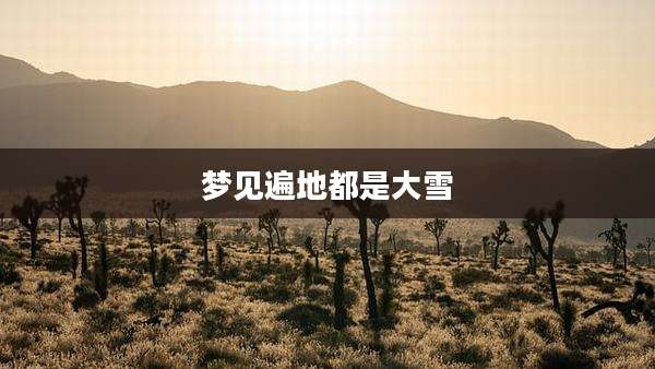 梦见遍地都是大雪