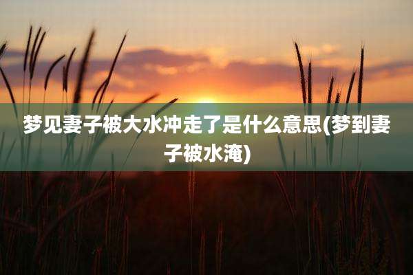 梦见妻子被大水冲走了是什么意思(梦到妻子被水淹)