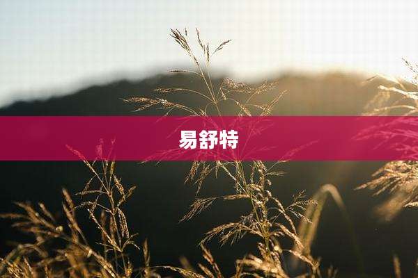 易舒特