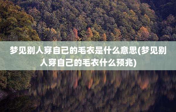 梦见别人穿自己的毛衣是什么意思(梦见别人穿自己的毛衣什么预兆)