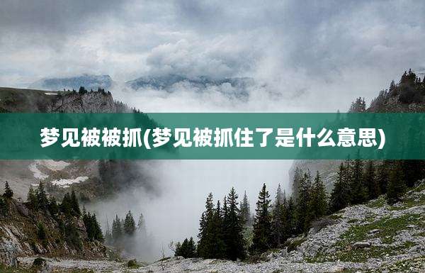 梦见被被抓(梦见被抓住了是什么意思)