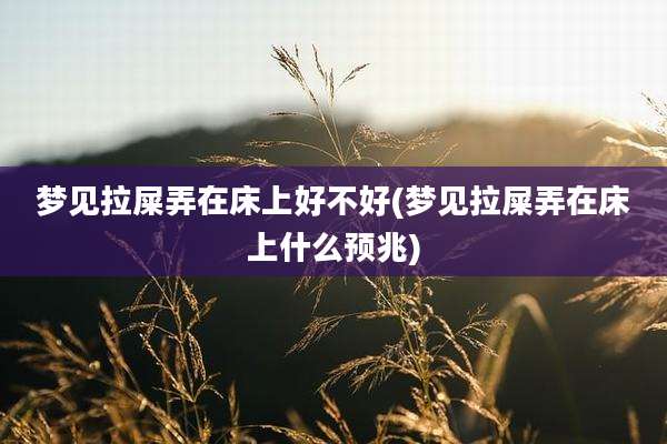 梦见拉屎弄在床上好不好(梦见拉屎弄在床上什么预兆)