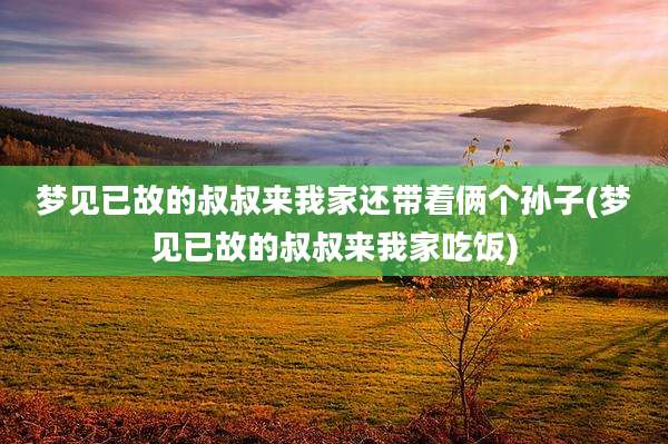 梦见已故的叔叔来我家还带着俩个孙子(梦见已故的叔叔来我家吃饭)