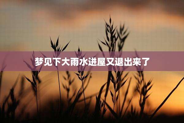 梦见下大雨水进屋又退出来了