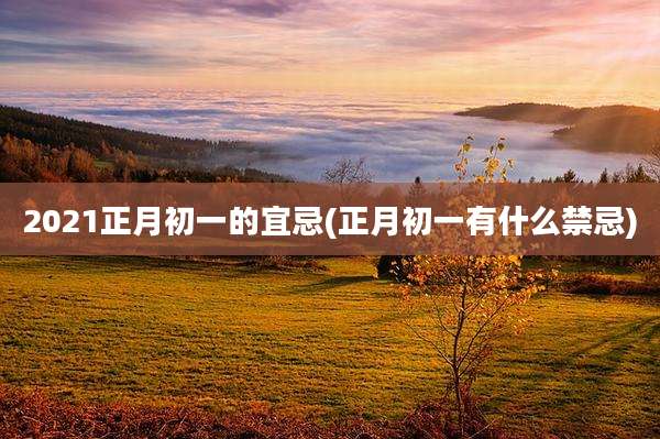 2021正月初一的宜忌(正月初一有什么禁忌)