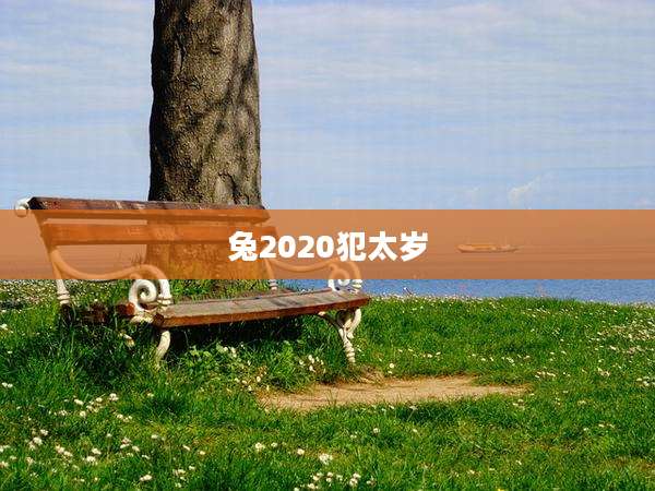 兔2020犯太岁