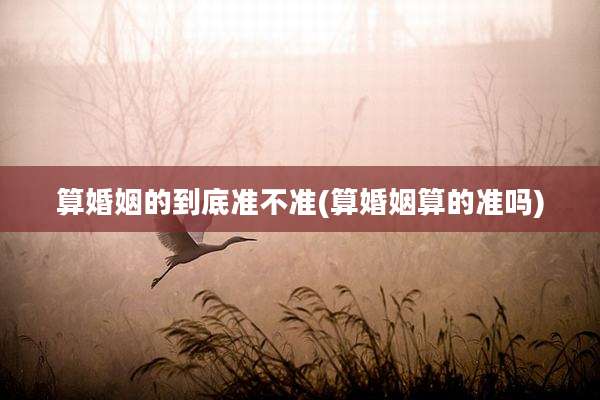 算婚姻的到底准不准(算婚姻算的准吗)