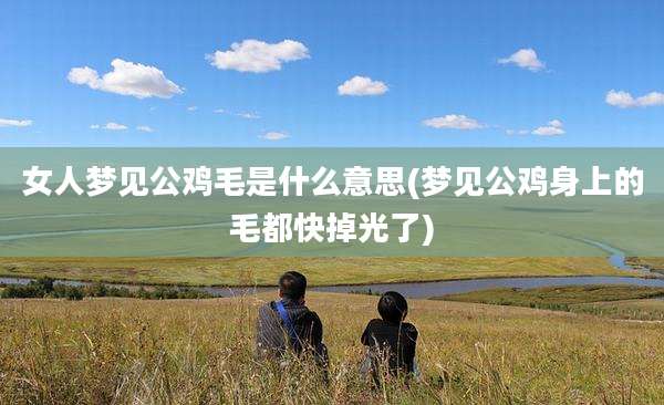 女人梦见公鸡毛是什么意思(梦见公鸡身上的毛都快掉光了)